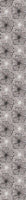 patterned-wallpaper-mallow-flowers