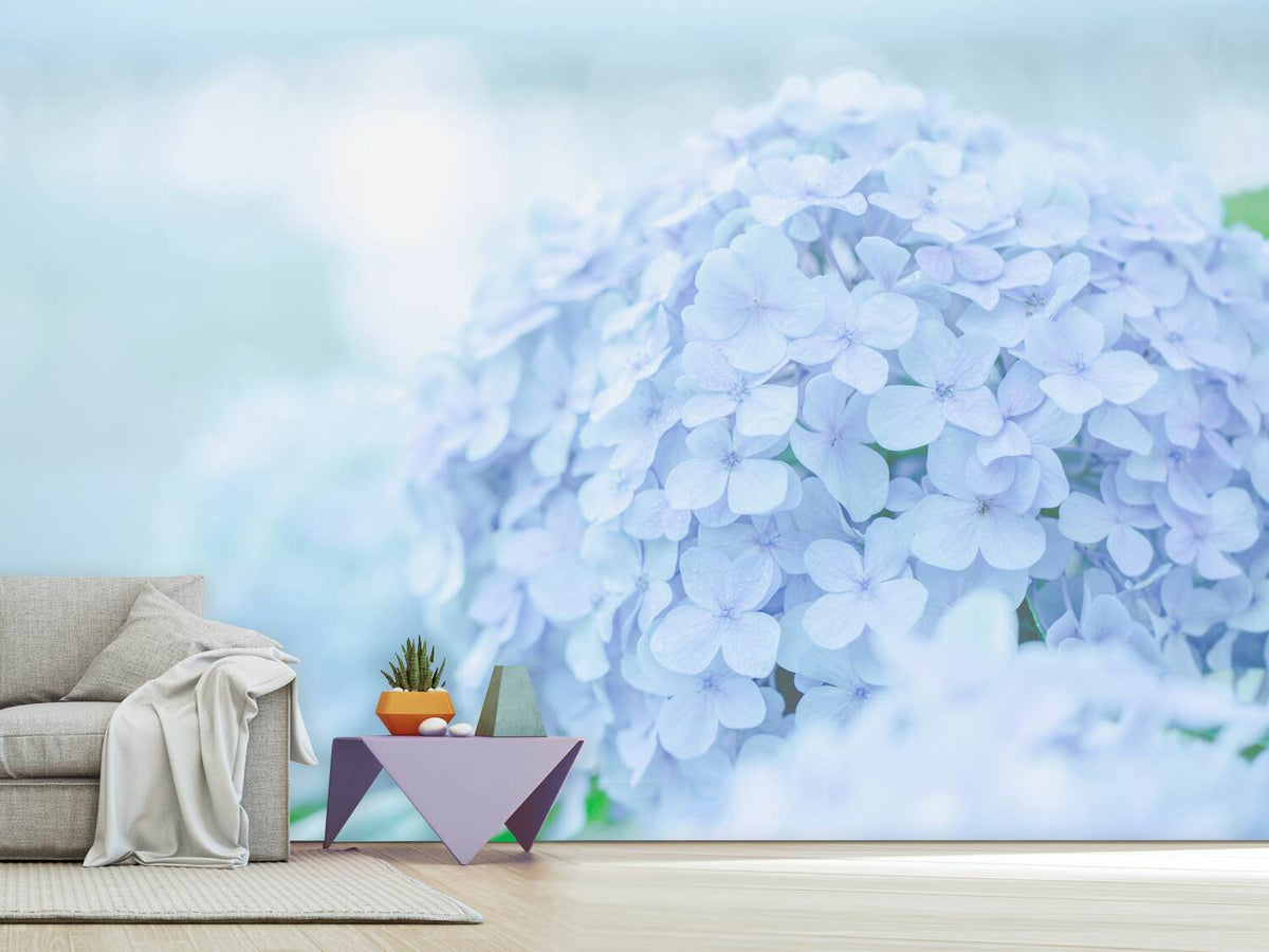 photo-wallpaper-the-hydrangea