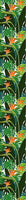 patterned-wallpaper-strelitzia