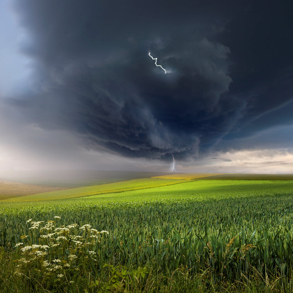 photo-wallpaper-june-storm