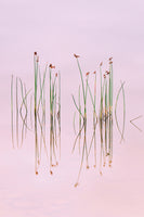 photo-wallpaper-reflection-of-serenity