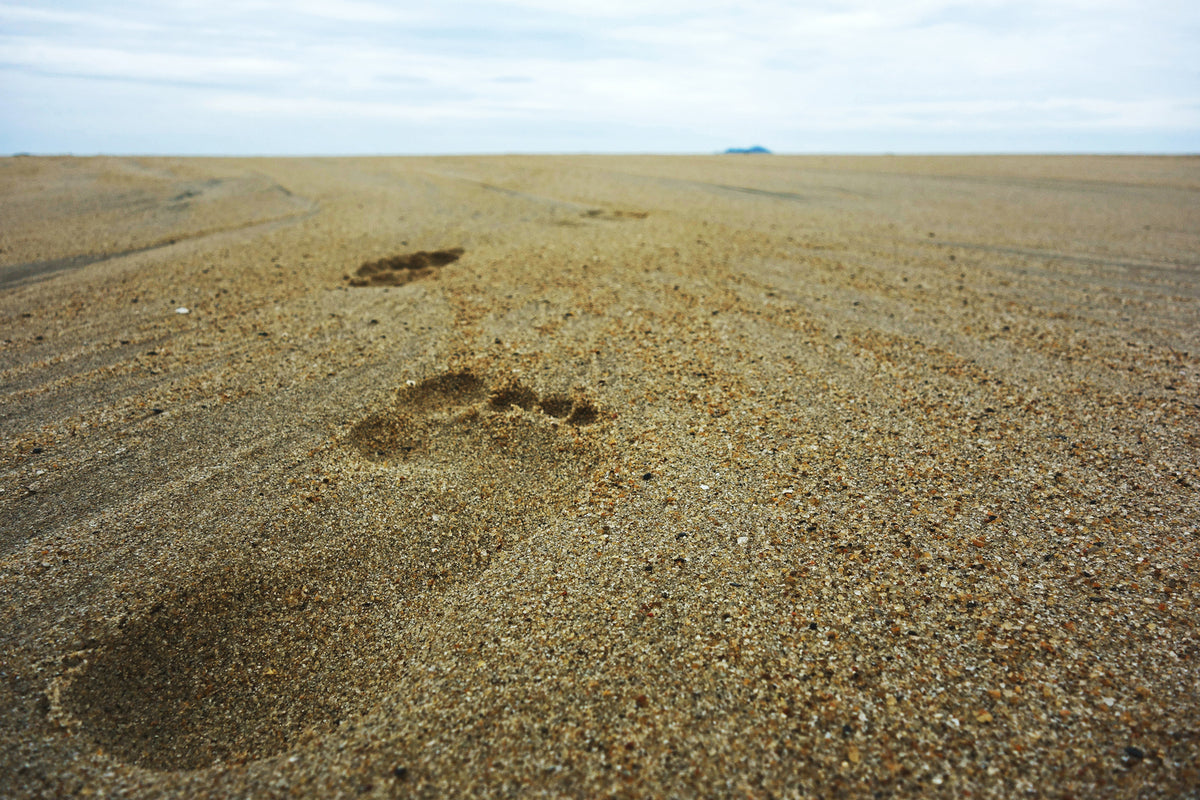 photo-wallpaper-footprints-xxl