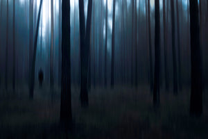 photo-wallpaper-man-in-the-forest