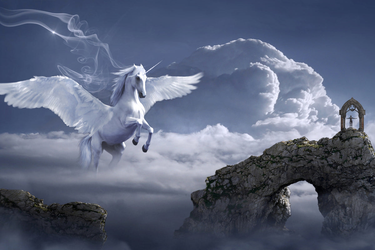 photo-wallpaper-pegasus