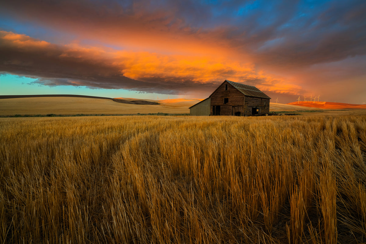 photo-wallpaper-storm-over-palouse-x