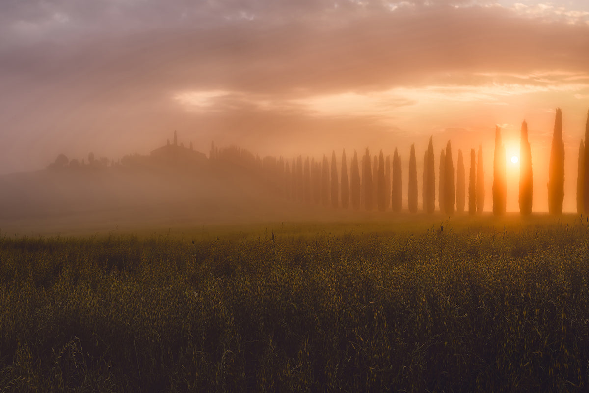 photo-wallpaper-tuscany-sunrising