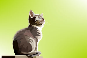 photo-wallpaper-pop-art-cat-xl