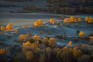 photo-wallpaper-prairie-light