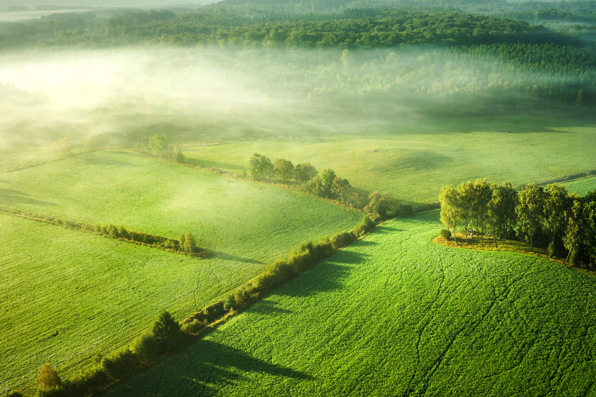 photo-wallpaper-above-the-mist-x