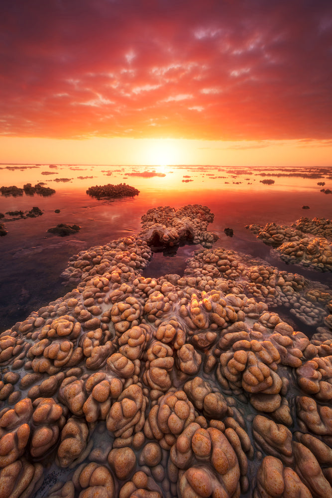 photo-wallpaper-low-tide-on-the-lagoon-of-saint-leu