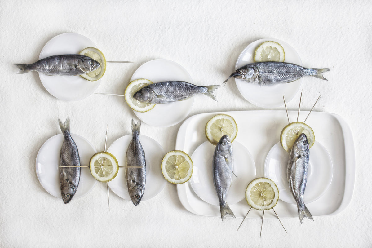 photo-wallpaper-still-life-with-fish