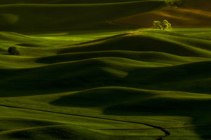 photo-wallpaper-spring-rolling-hills-x