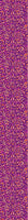 patterned-wallpaper-crazy-for-purple