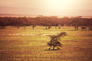 photo-wallpaper-picturesque-africa