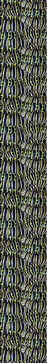 patterned-wallpaper-very-hungry-caterpillars