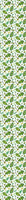 patterned-wallpaper-acorn-and-leaf-in-the-prague-spring