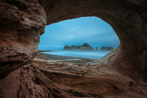 photo-wallpaper-view-from-a-hollow-tree-x