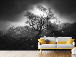 photo-wallpaper-fog-scene-x