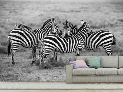 photo-wallpaper-stripes-xoh