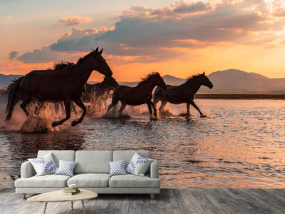 photo-wallpaper-water-horses-x