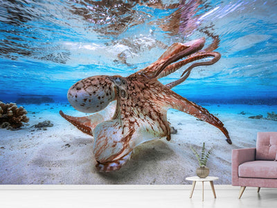 photo-wallpaper-dancing-octopus