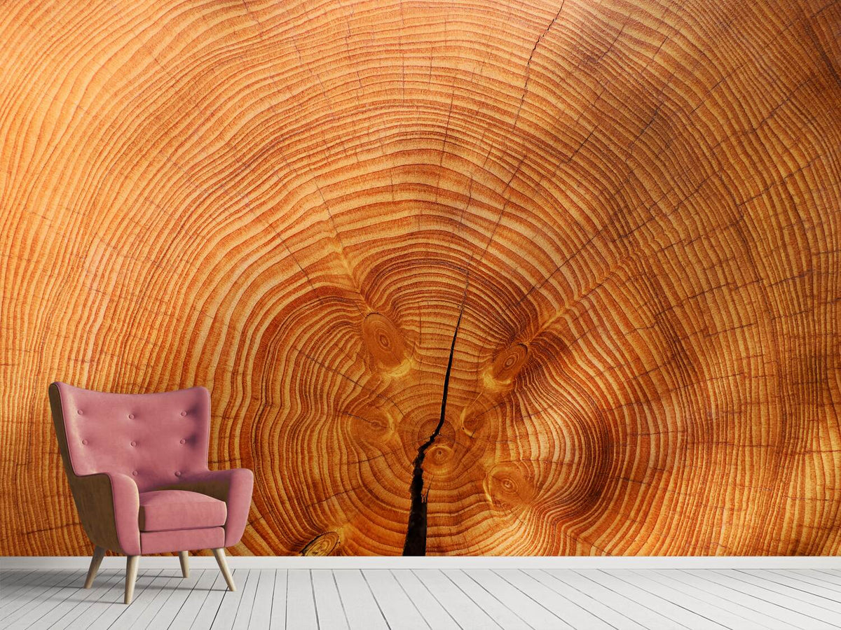 photo-wallpaper-tree-rings