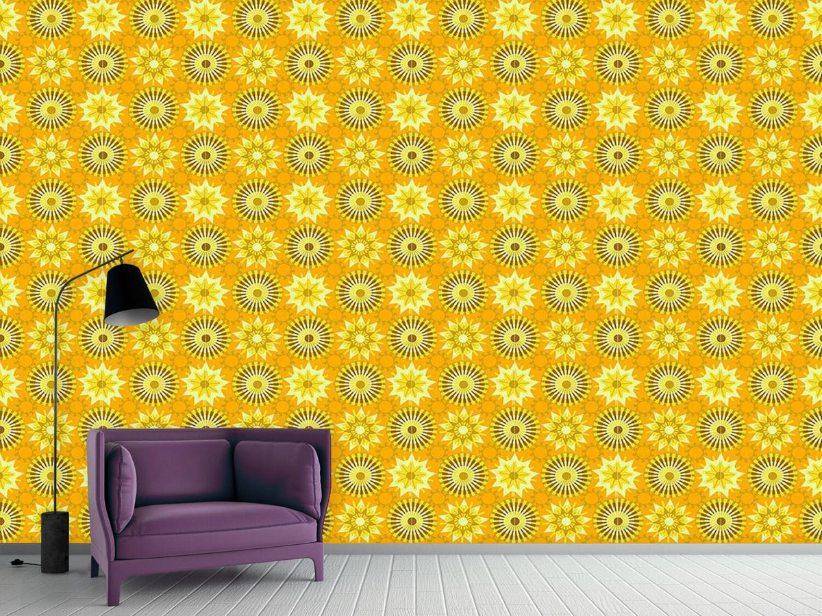 patterned-wallpaper-circles-in-the-sunlight