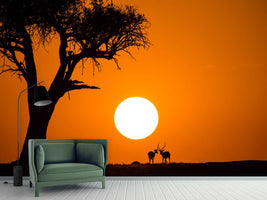 photo-wallpaper-african-sunset-x