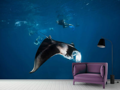 photo-wallpaper-manta-ray-ii