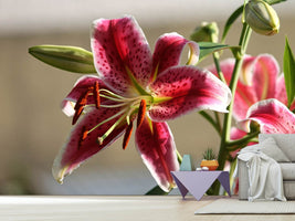 photo-wallpaper-close-up-lily-in-red