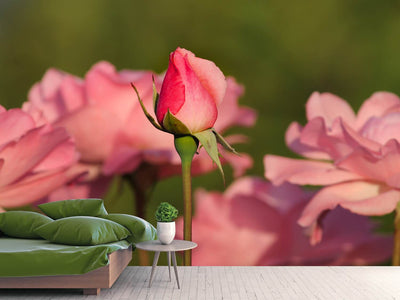 photo-wallpaper-the-rosebud