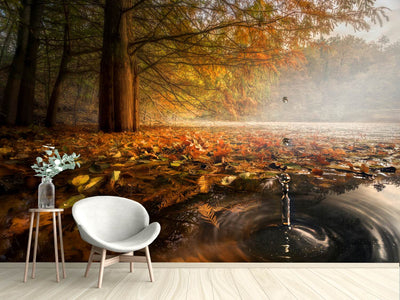 photo-wallpaper-drops-between-the-autumn-colors-x