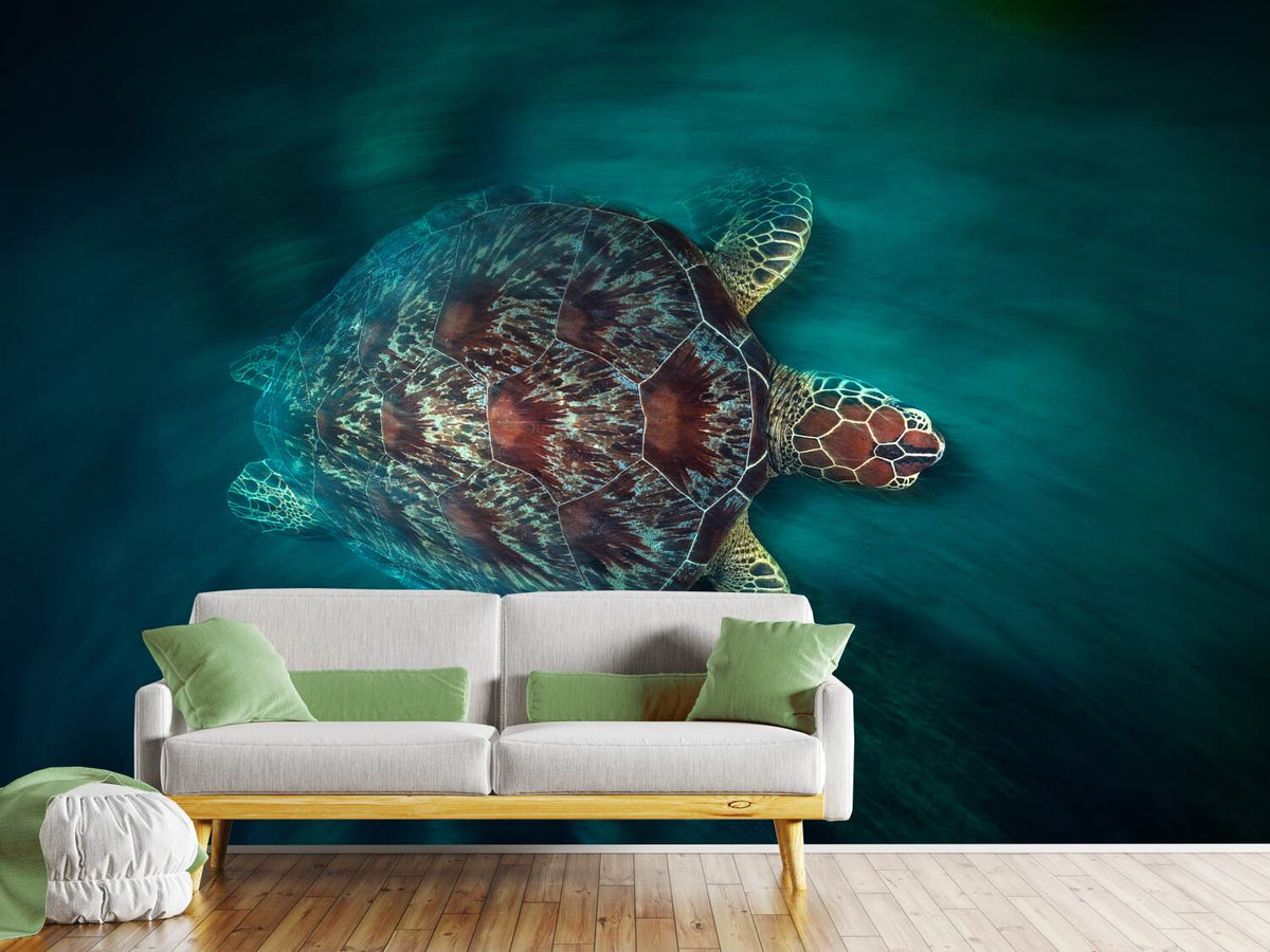 photo-wallpaper-valocity-turtle