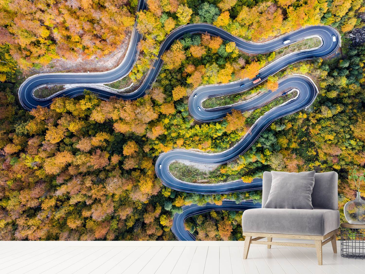 photo-wallpaper-autumn-road-xaj