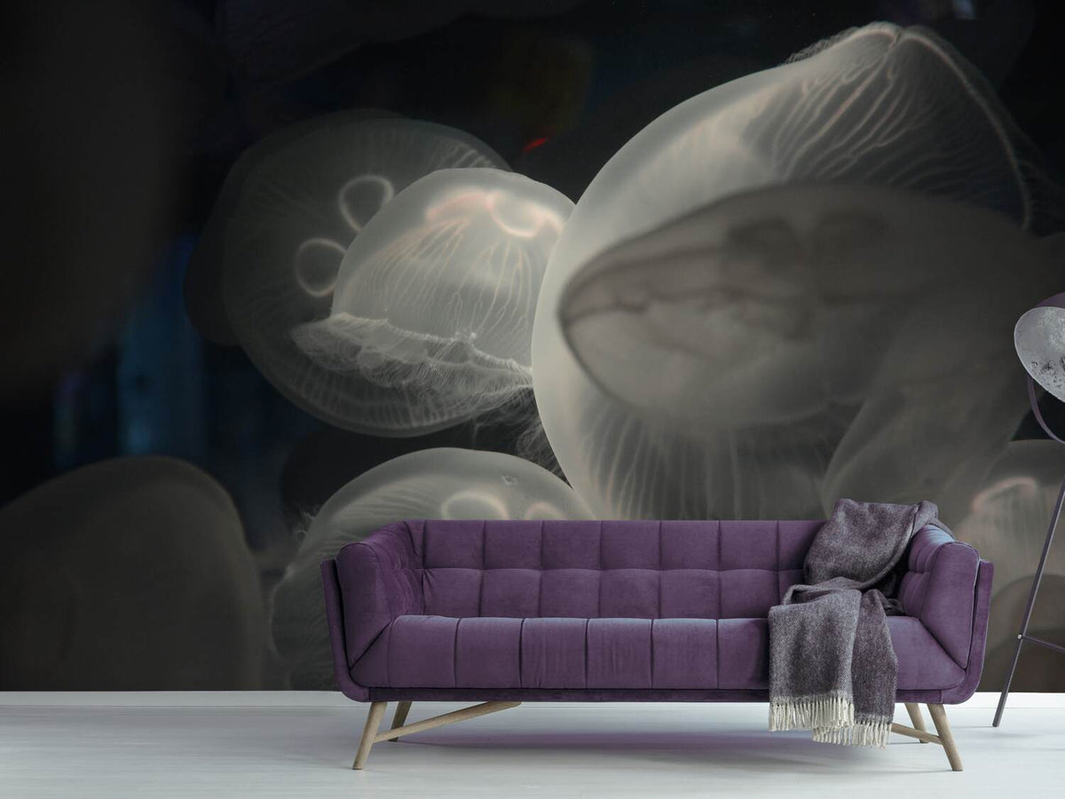 photo-wallpaper-eerie-jellyfish