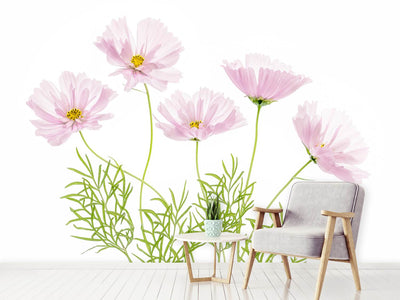 photo-wallpaper-cosmos-cupcake