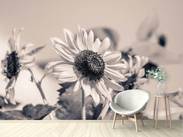 photo-wallpaper-sunflowers-sw