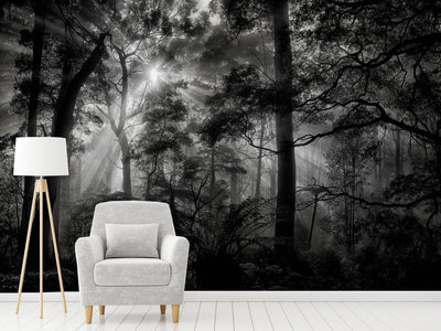 photo-wallpaper-primary-forest