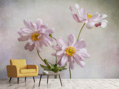 photo-wallpaper-anemones