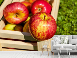 photo-wallpaper-box-of-apples