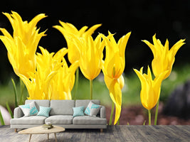 photo-wallpaper-yellow-tulips-in-the-nature