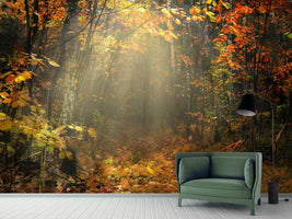 photo-wallpaper-we-love-autumn