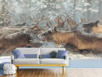 photo-wallpaper-reindeers-iii-x