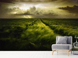 photo-wallpaper-journey-to-the-fierce-storm