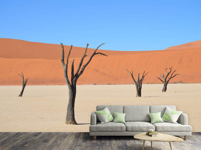 photo-wallpaper-sossusvlei-namibia