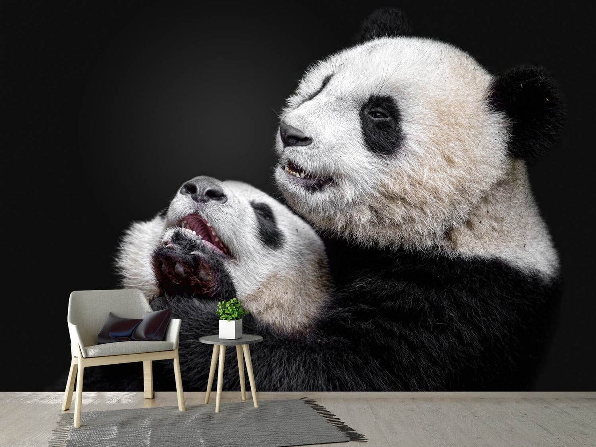 photo-wallpaper-pandas-x