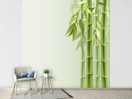 photo-wallpaper-green-bamboo