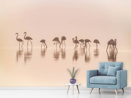 photo-wallpaper-flamingos-in-the-mist-x