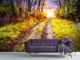 photo-wallpaper-the-forest-path