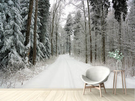 photo-wallpaper-snow-in-the-forest